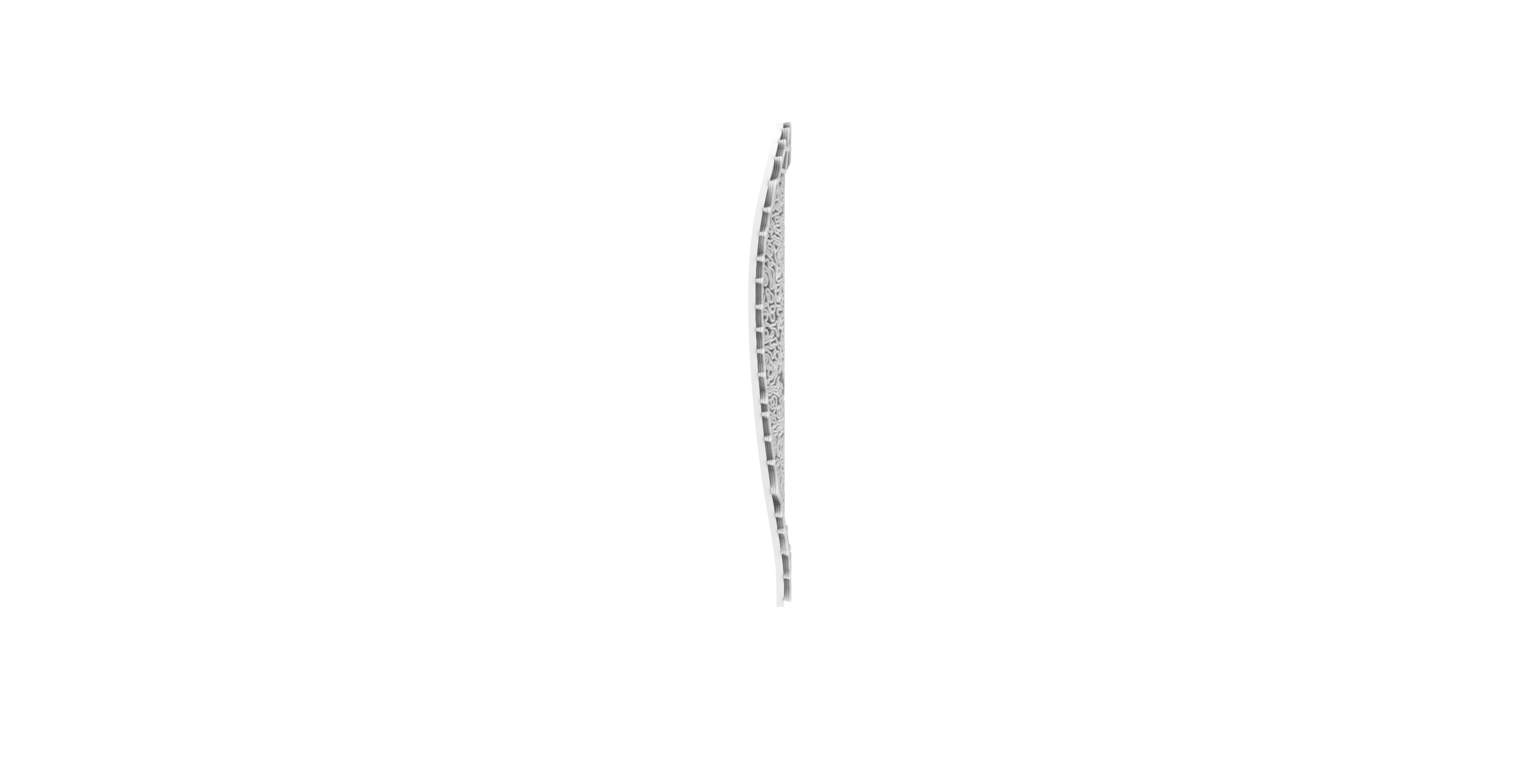 Left view — isolated mask